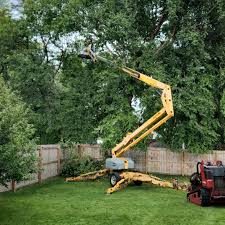 Best Tree Mulching Services  in Wanamingo, MN